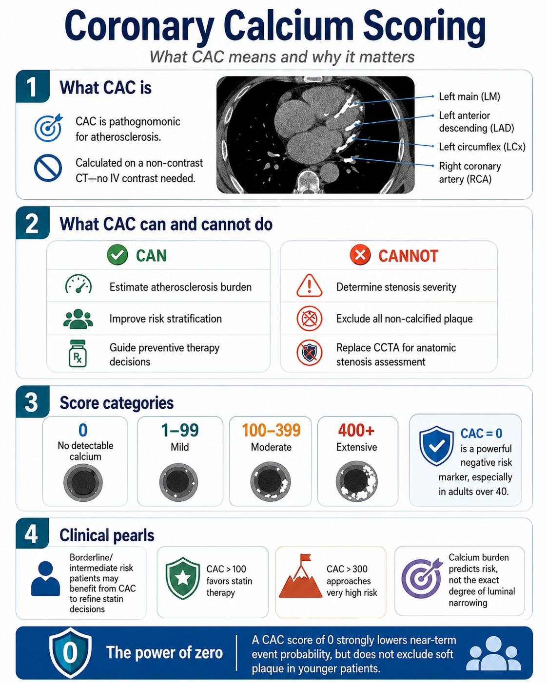 Coronary calcium scoring — what CAC measures, what it can and cannot do, score categories, and the power of zero