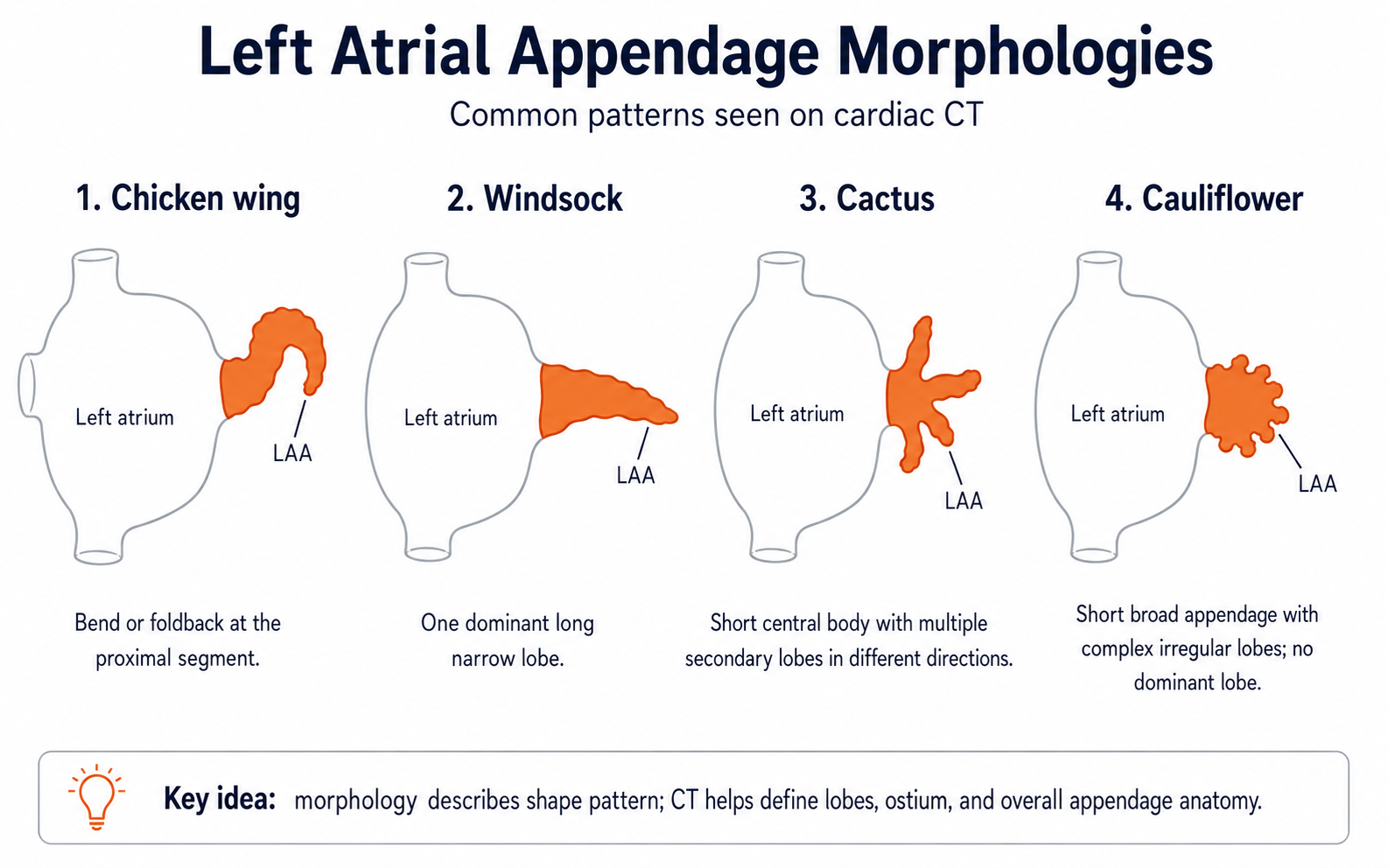 Left atrial appendage morphologies on cardiac CT — chicken wing, windsock, cactus, and cauliflower